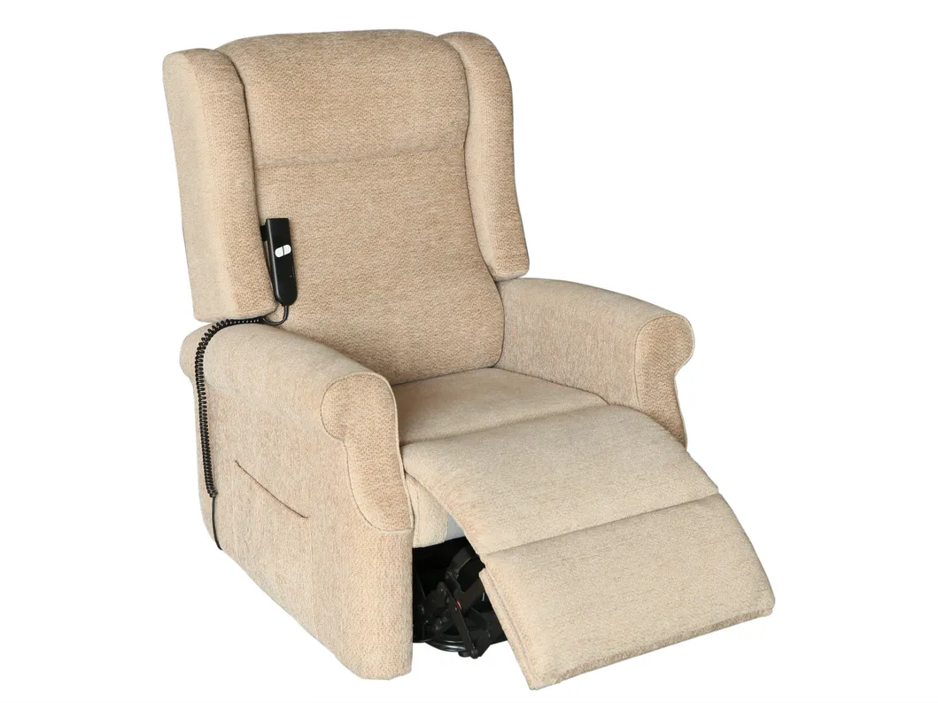 Massage Chair Detail