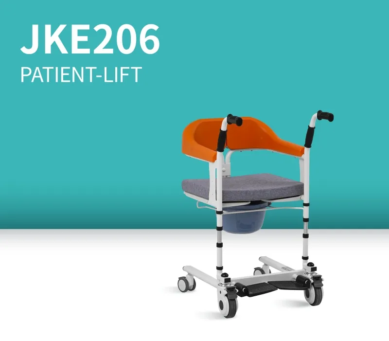 Patient-Lift 1