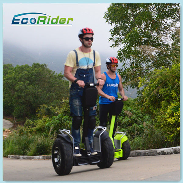China Factory Electric Vehicle Electric Scooter