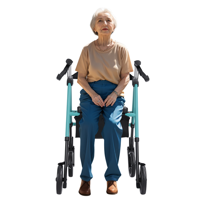 Dl-7077D Walker Rollator with Seat for Elderly &amp; Disabled - Foldable Walking Aid, Factory Direct Sale
