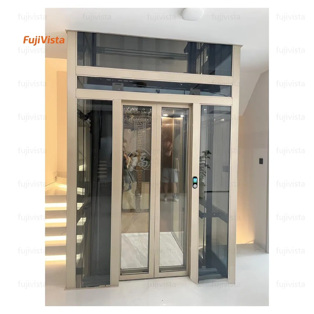 Fujivista LED-Integrated Domestic Stair Small Home Passenger Lift Elevator with Etched Details