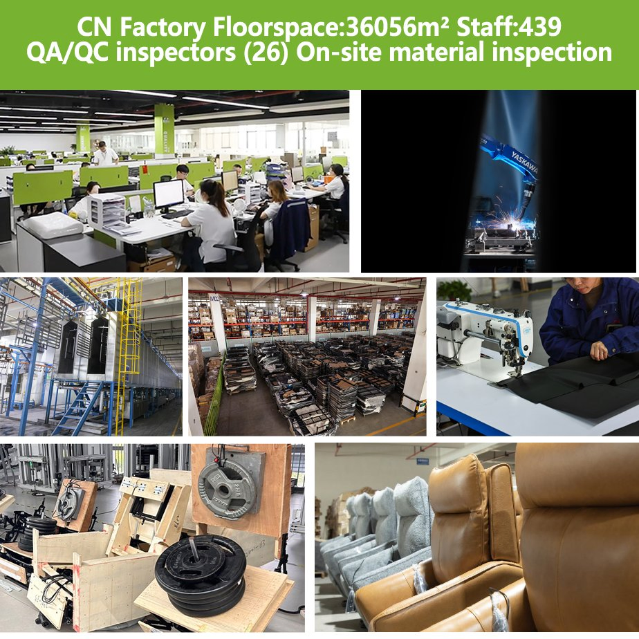 Recliner Sofa Height Adjustable Salon Beatuy Chair Electric Lift Chair for Living Room Furniture