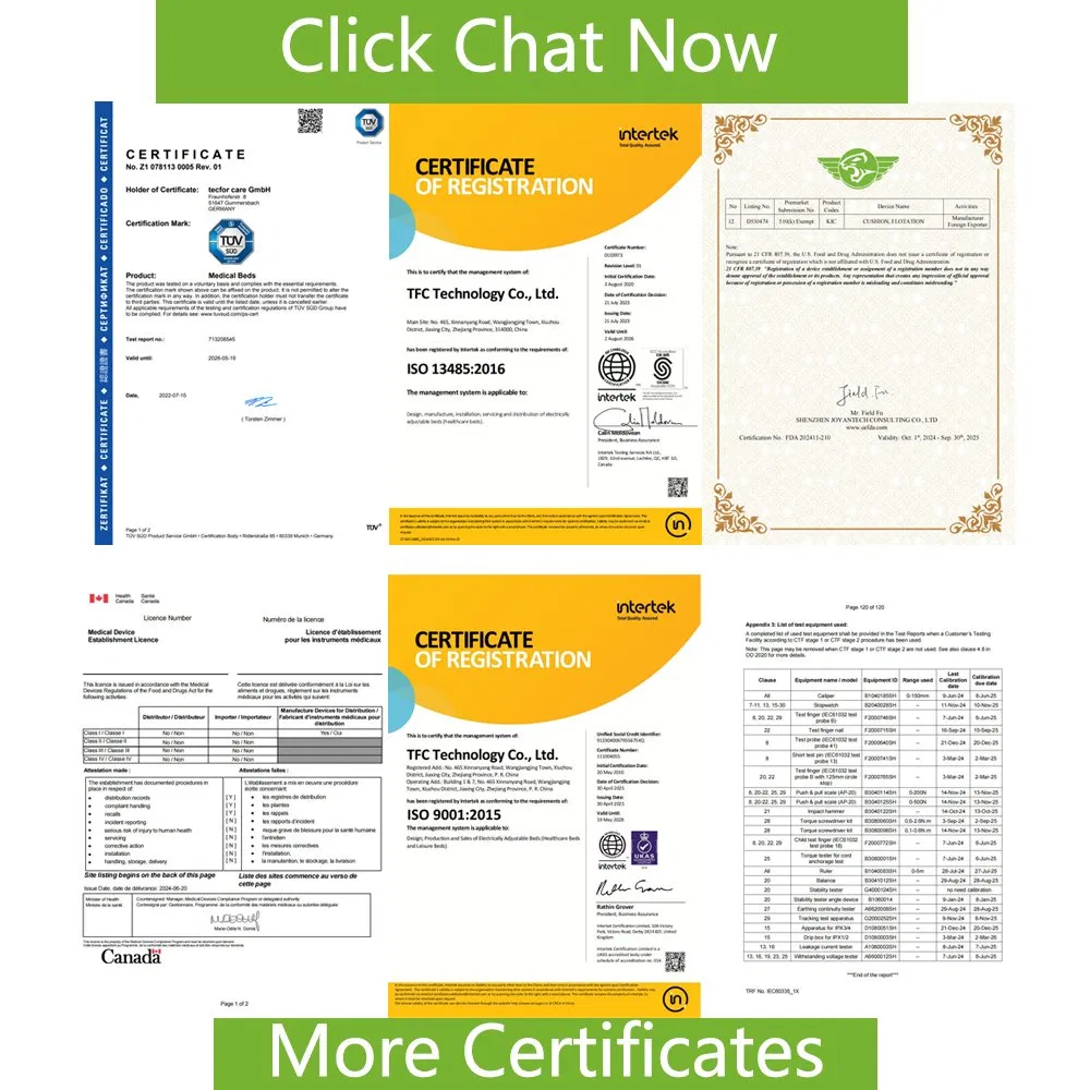 Recliner Sofa Height Adjustable Salon Beatuy Chair Electric Lift Chair for Living Room Furniture