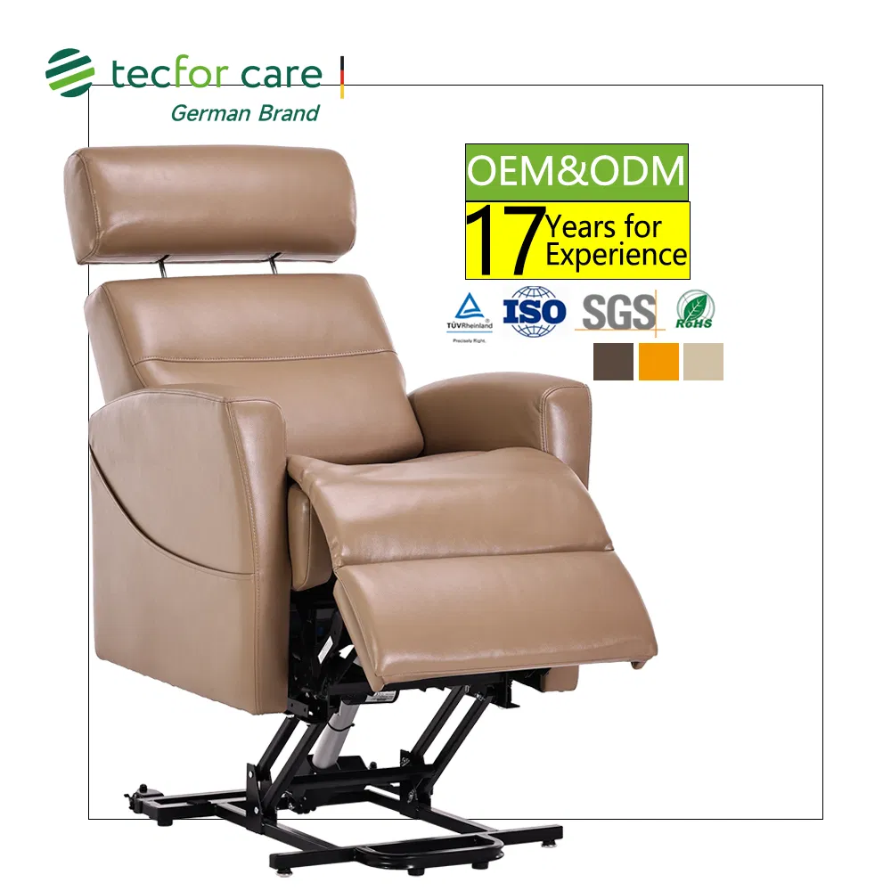 Recliner Sofa Height Adjustable Salon Beatuy Chair Electric Lift Chair for Living Room Furniture