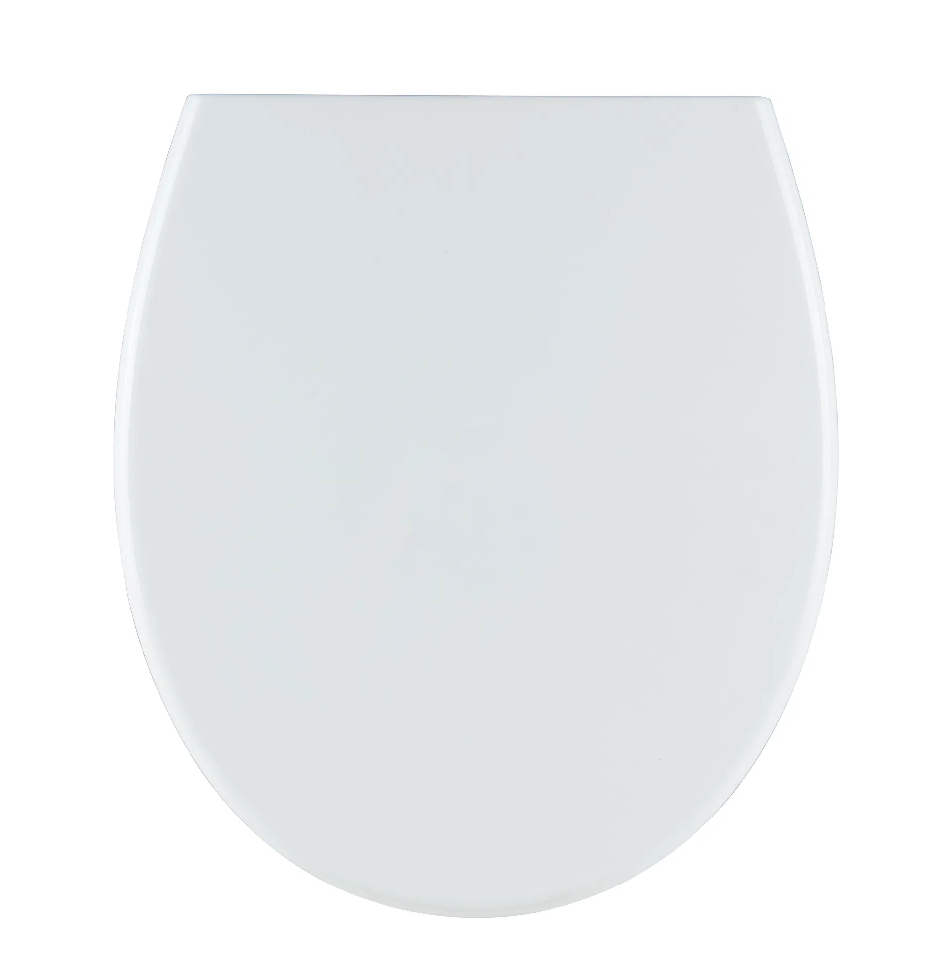 Raised Toilet Seat Detail 1