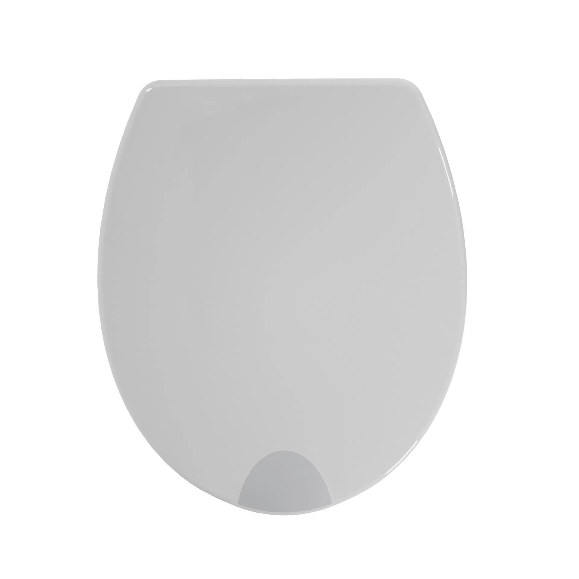 Raised Toilet Seat Detail 1