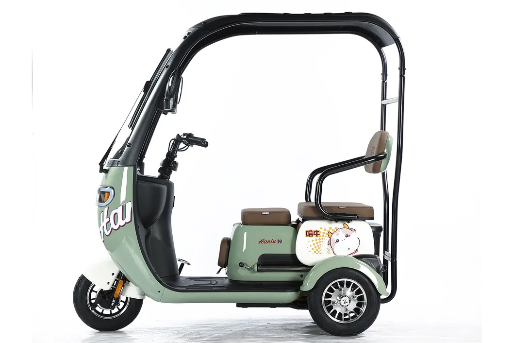 Scooter de movilidad vehículo eléctrico con prueba de e-triciclo 3 bicicleta