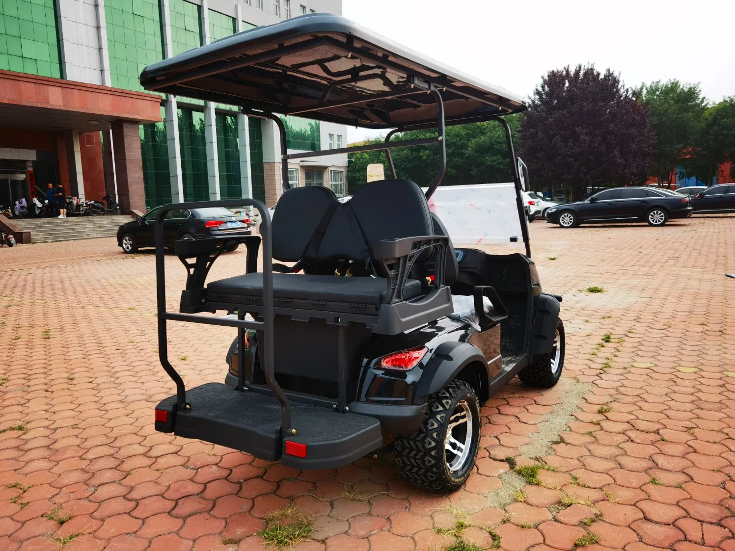 Vehículo Eléctrico de Golf Ligero 2+2 para Movilidad Suave y Silenciosa en Áreas