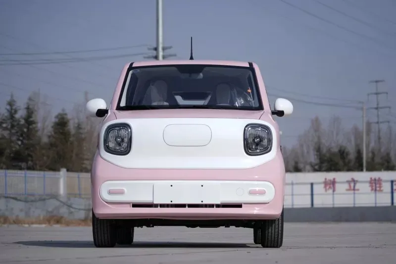 Coche mini eléctrico de pasajeros compacto para todas las estaciones, vehículo de nueva energía popular
