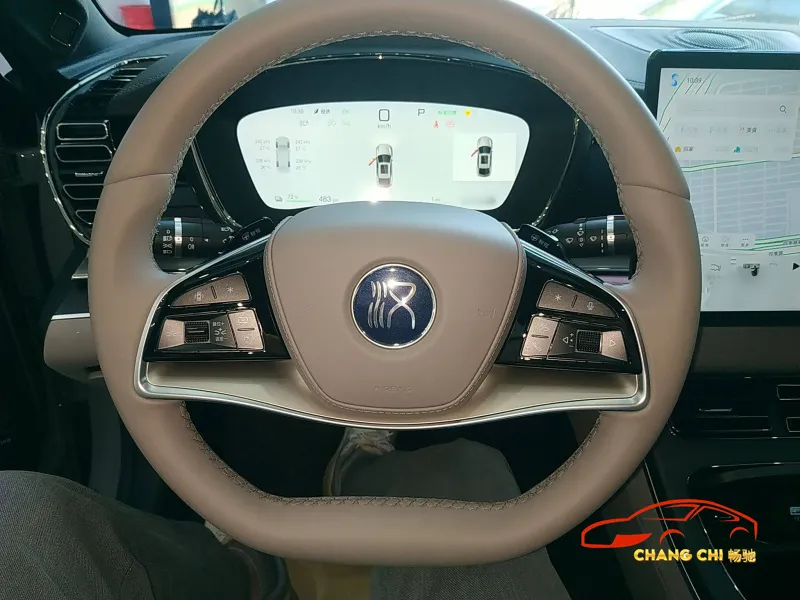 Detalle Interior Byd Han EV