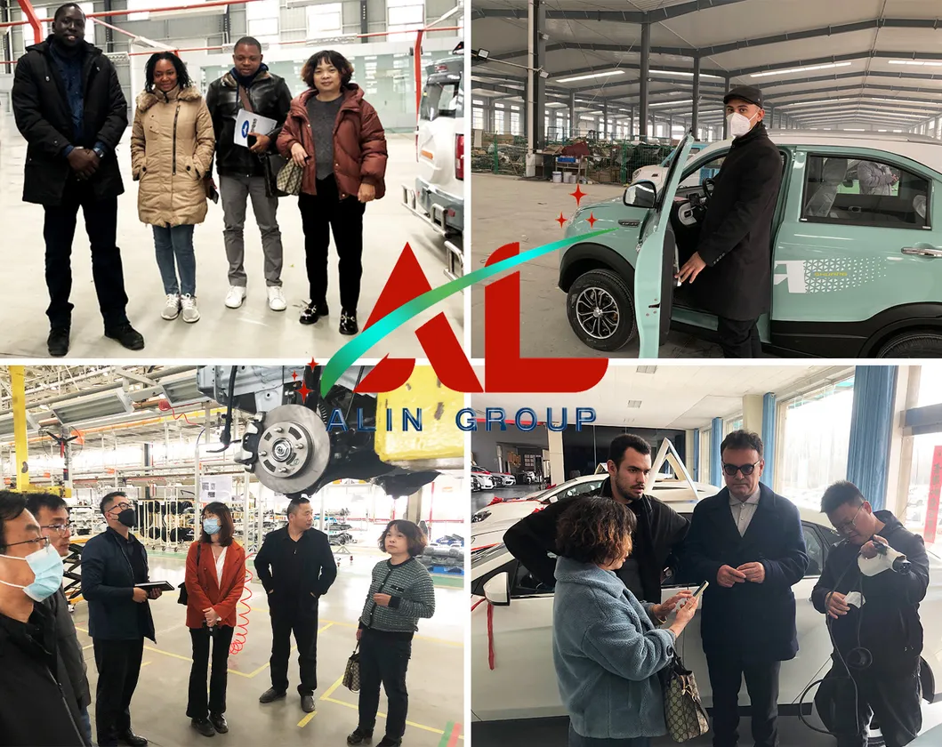 Visita del cliente 3