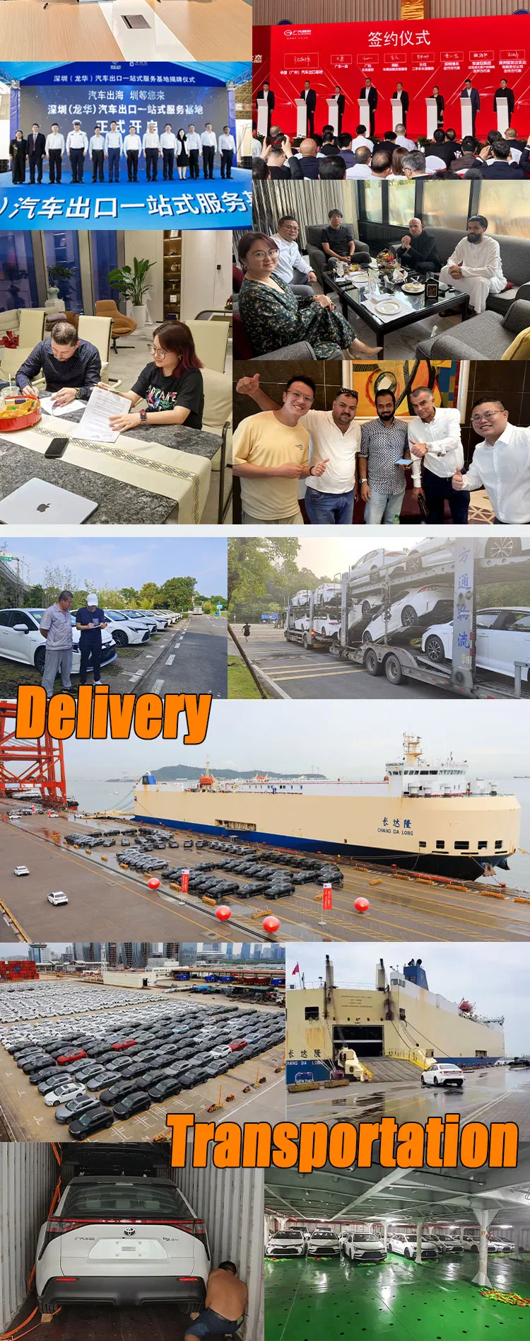 Almacenamiento de Exportación de Vehículos