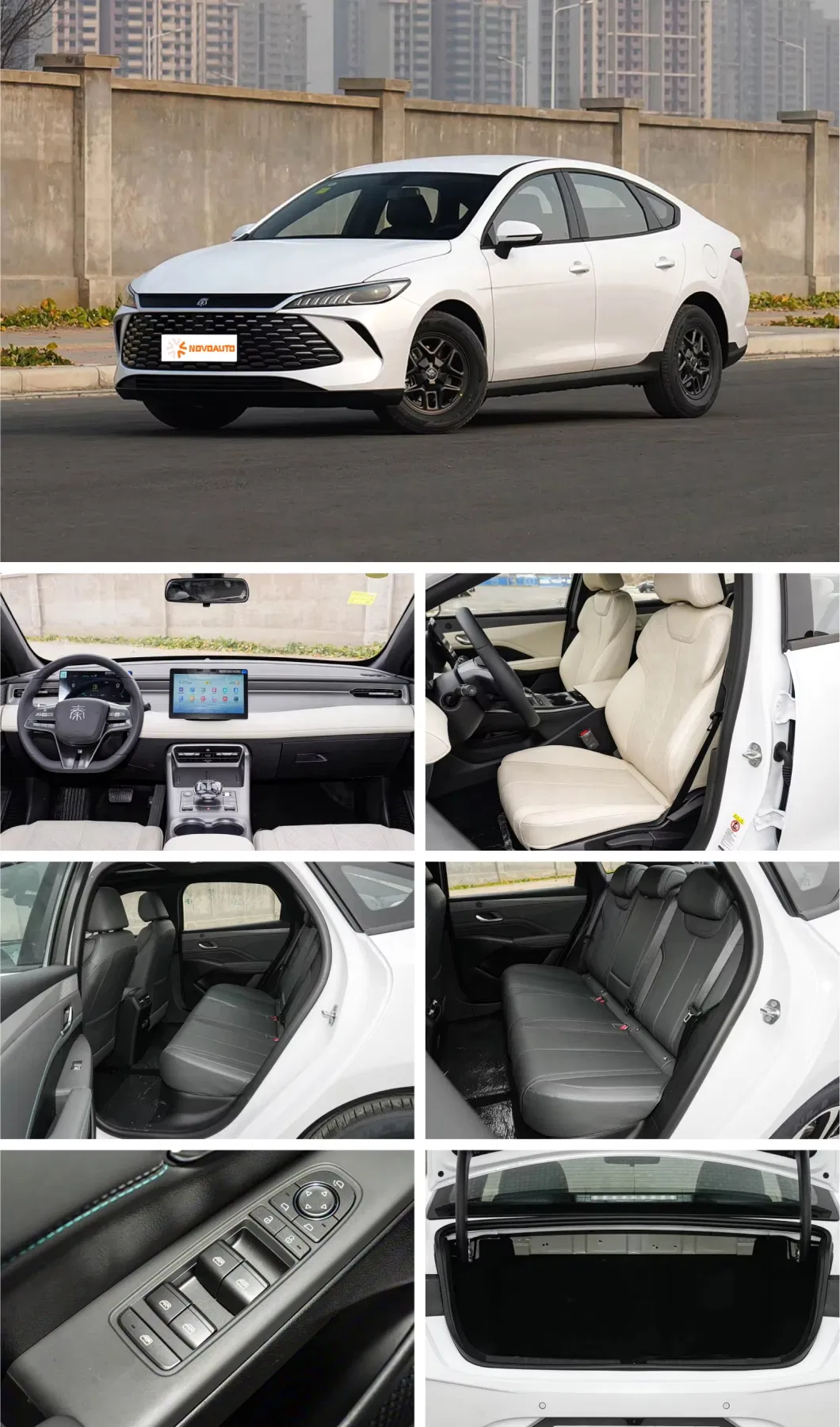 Detalles de BYD Qin Plus