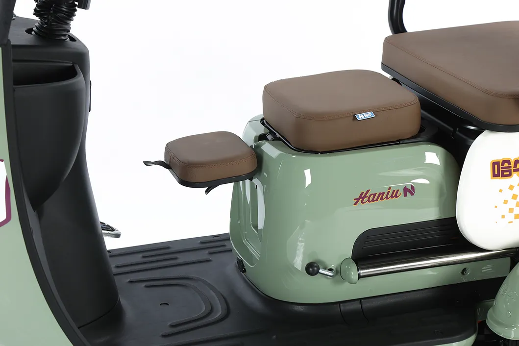 Scooter de movilidad vehículo eléctrico con prueba de e-triciclo 3 bicicleta