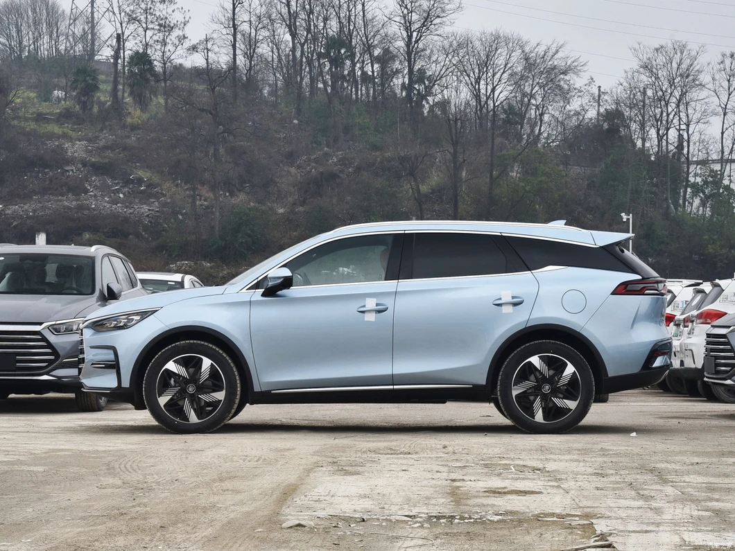 BYD Tang Exterior Detalle