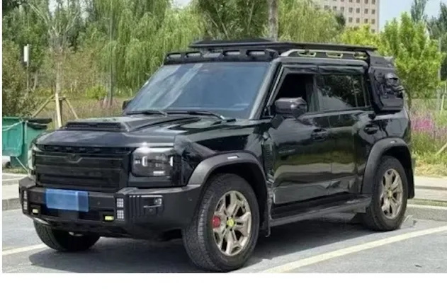Ruijie tu Traveler 2024