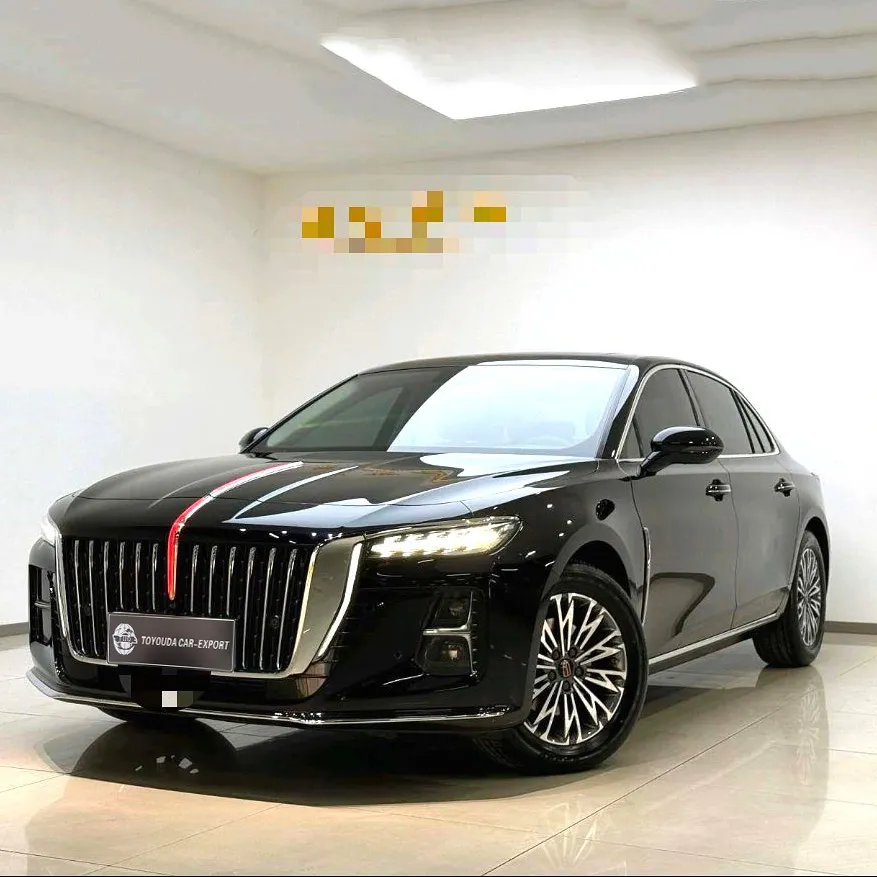 Hongqi 2019 E-HS3 Maletero