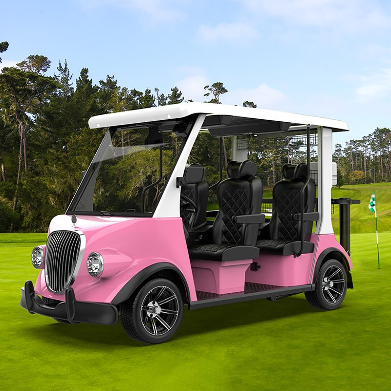 Carrito de golf legal en carretera con motor eléctrico potente 5000-Watt asiento autónomo o conducción manual 4