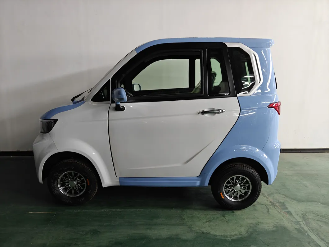 Automóvil Eléctrico de Pasajeros - Interior