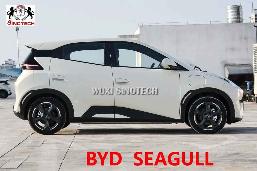 Coches eléctricos, sedanes y SUV Byd
