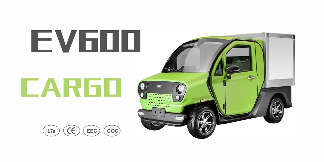 Coche de carga eléctrico mini para dos personas adultos entrega