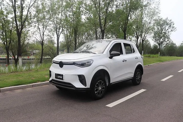 Coche Eléctrico de Cuatro Asientos para Movilidad Urbana