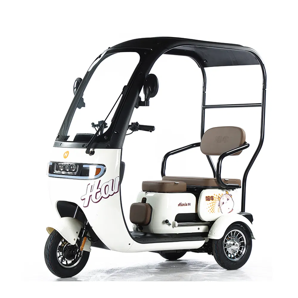 Scooter de movilidad vehículo eléctrico con prueba de e-triciclo 3 bicicleta