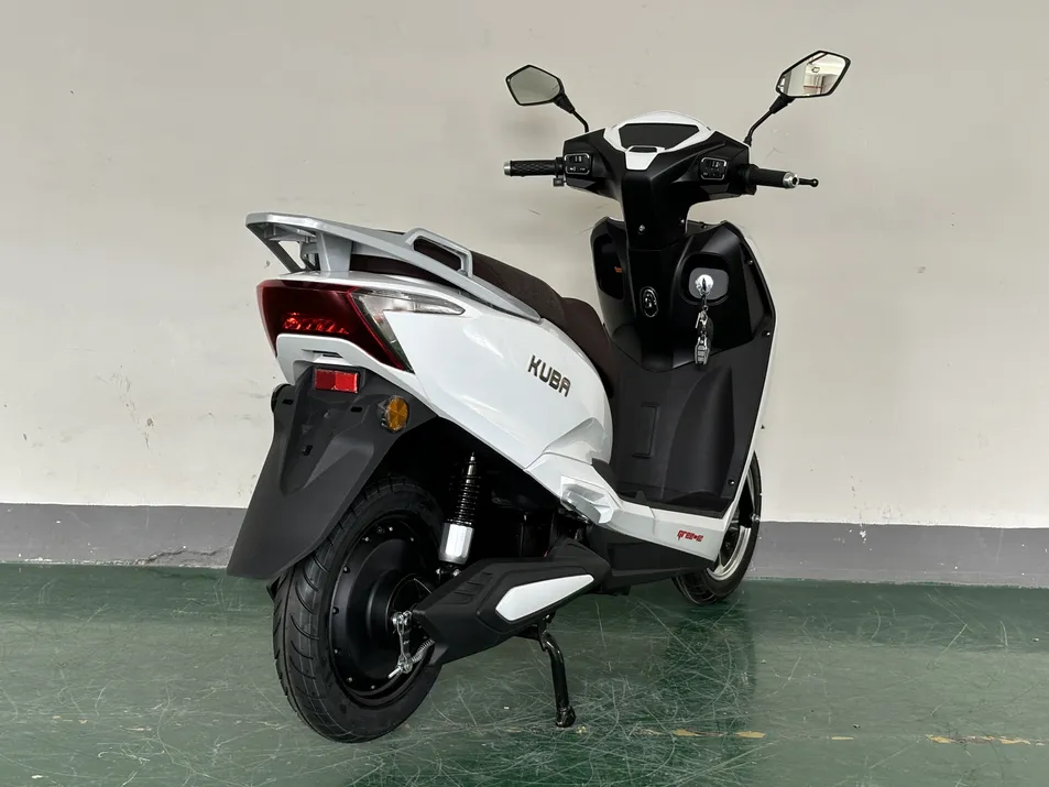 Vista posterior y motor