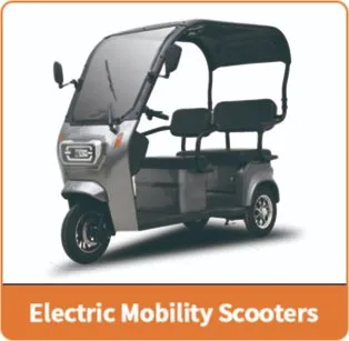 Coche eléctrico mini con EEC