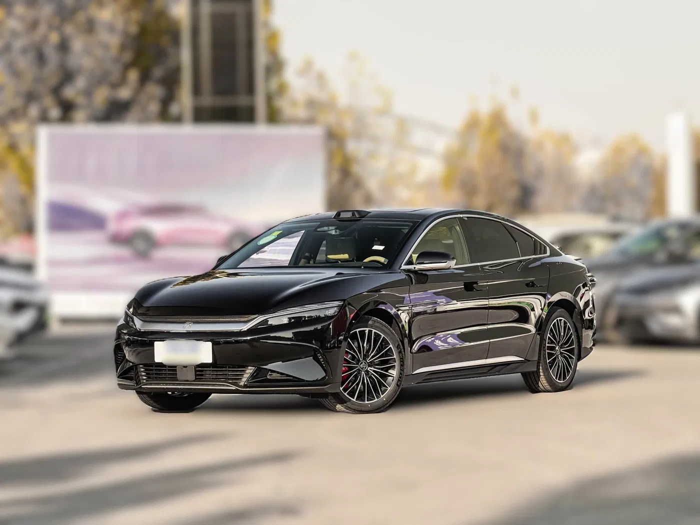 Coche Usado Han 2025 Edición de Conducción Autónoma EV 506km Premium para Viaje