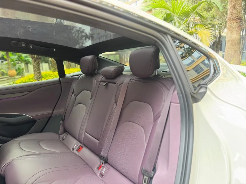 Detalle del Automóvil