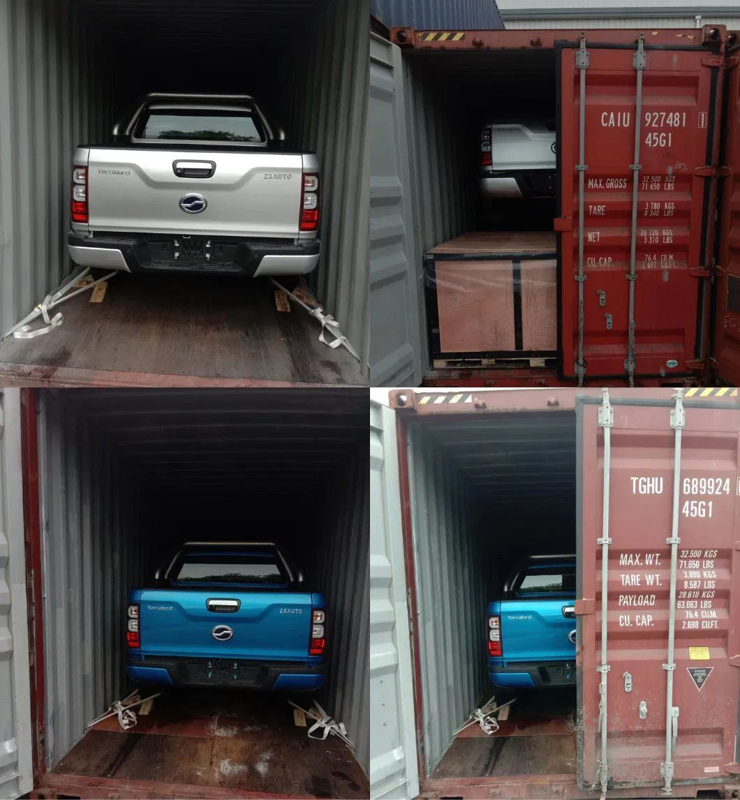 Byd Dolphin Compacto Ágil 401km Rango Alta Calidad Coche Eléctrico Sedán
