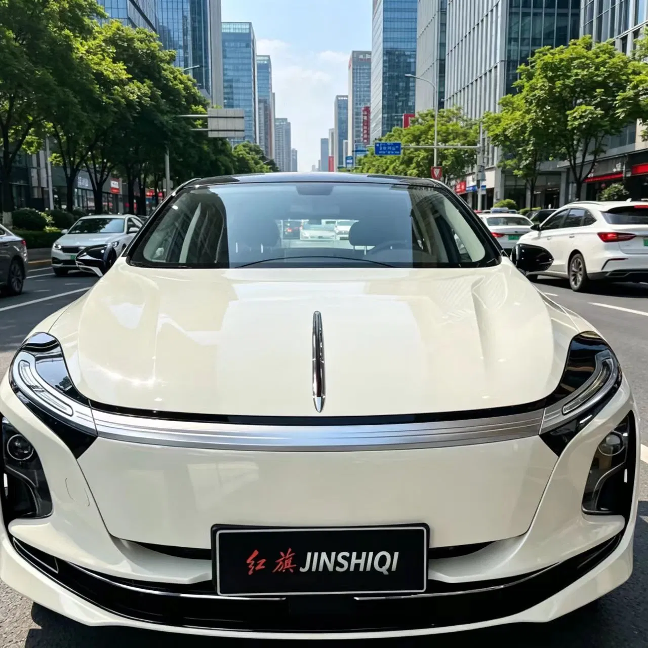 1 Año Salió Hongqi Con Tai Ner Batería Vehículo Coche Eléctrico