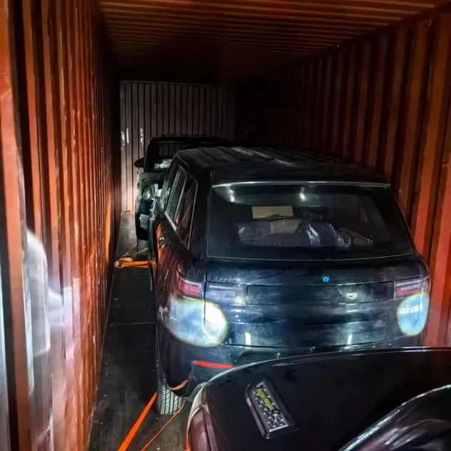 Detalles coche eléctrico 1