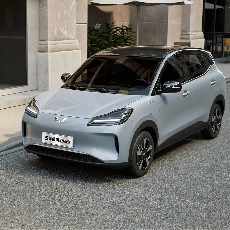 2024 Wuling Binguo Plus EV Interior