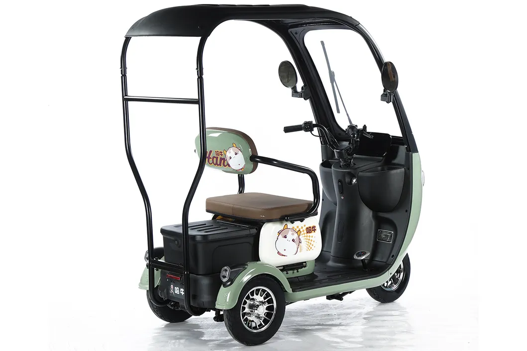 Scooter de movilidad vehículo eléctrico con prueba de e-triciclo 3 bicicleta