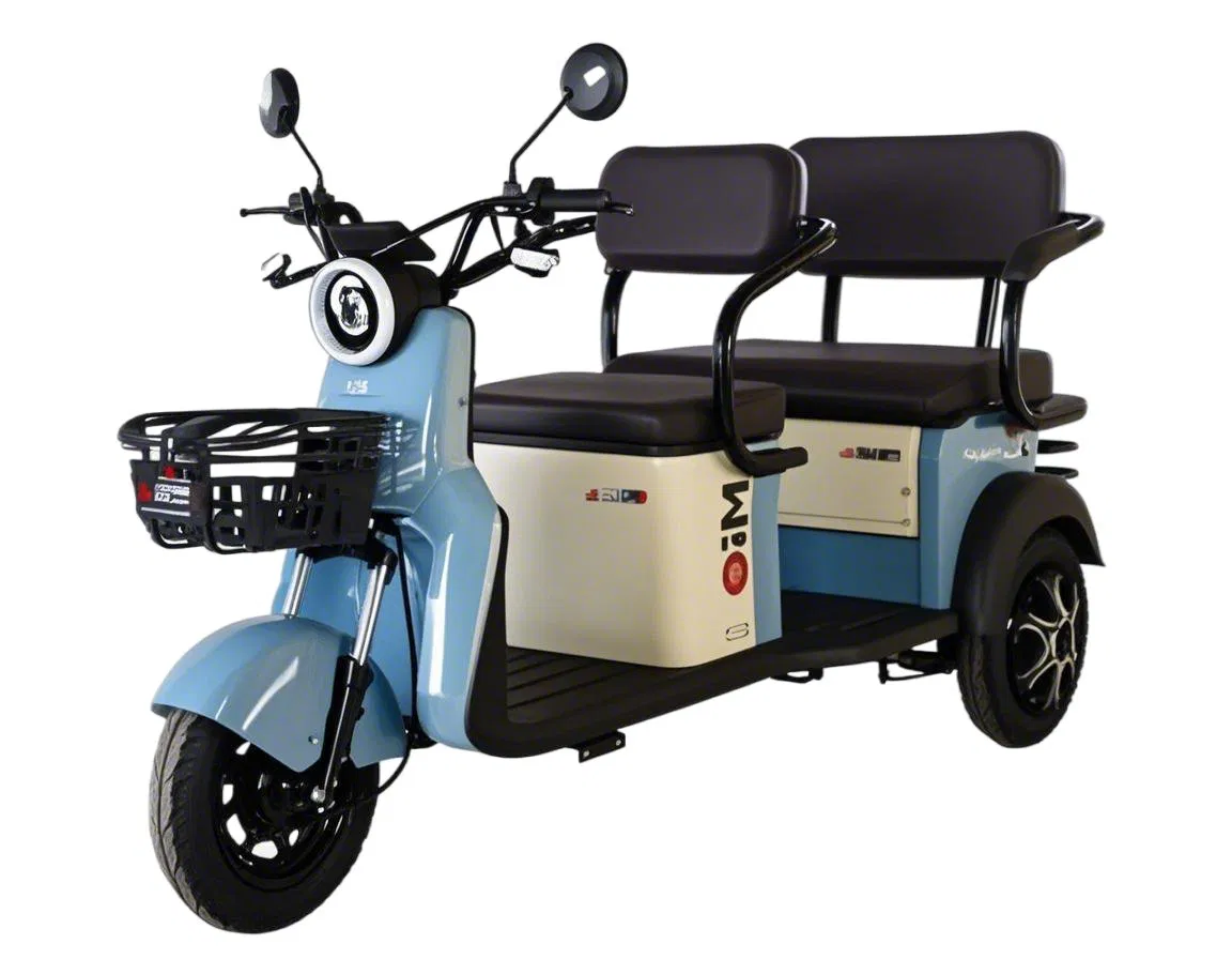 Coches eléctricos ecológicos disponibles para la venta y el alquiler