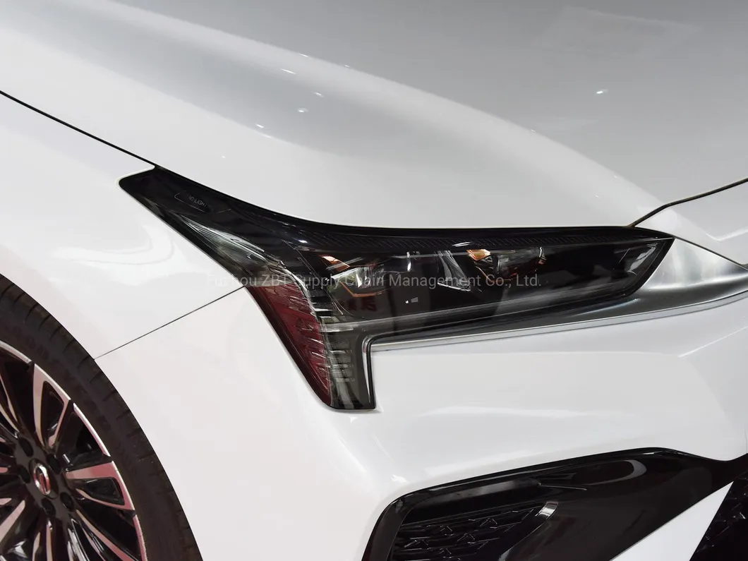 Detalle lateral Aion S