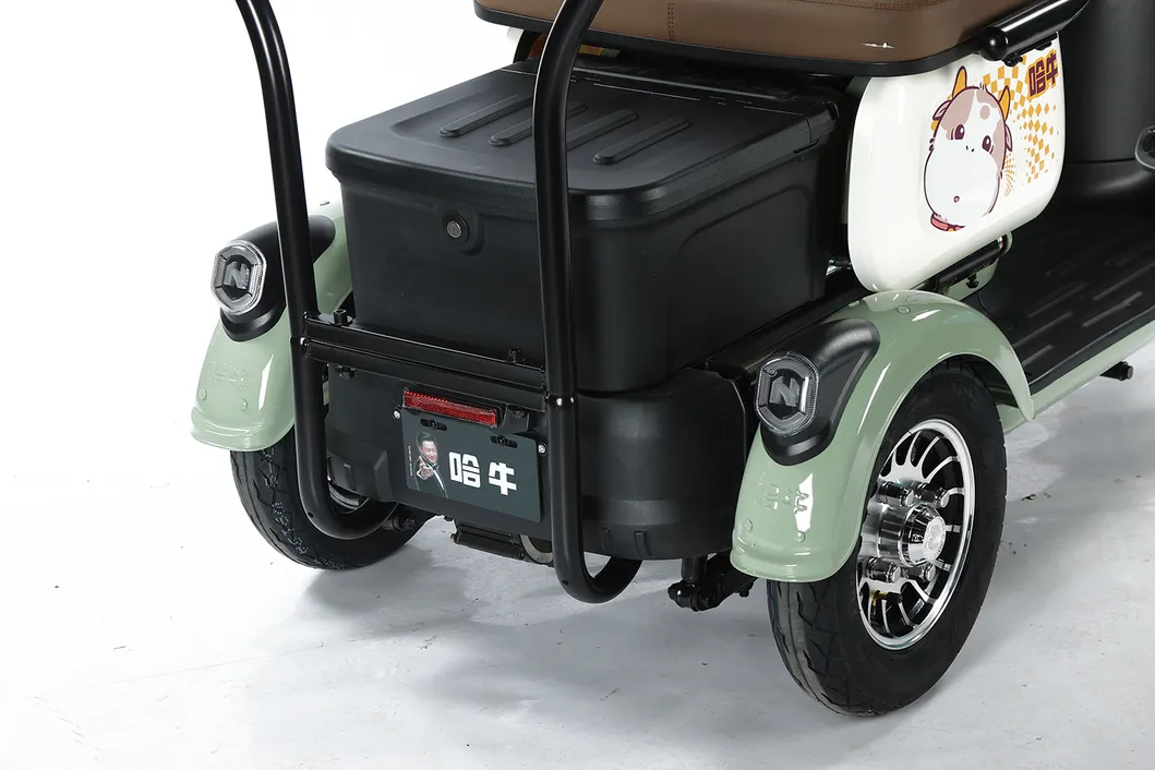 Scooter de movilidad vehículo eléctrico con prueba de e-triciclo 3 bicicleta
