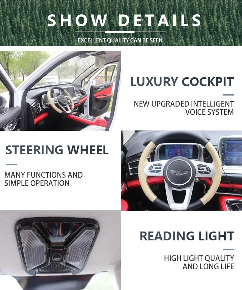 Coche Eléctrico de Cuatro Asientos