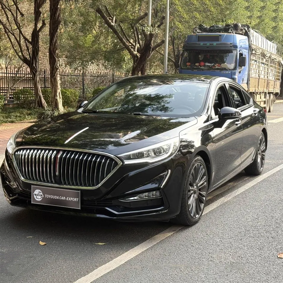 Hongqi 2019 E-HS3 Coche Usado Detalle