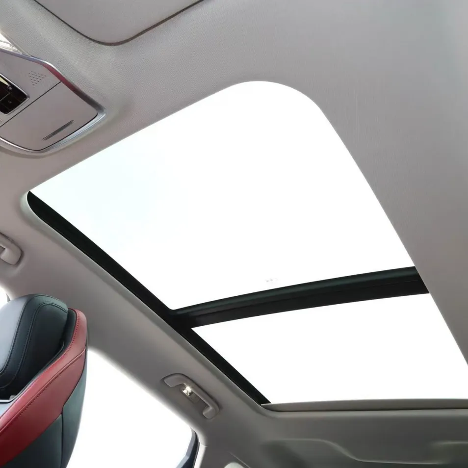 Detalle Hong Qi Interior 1