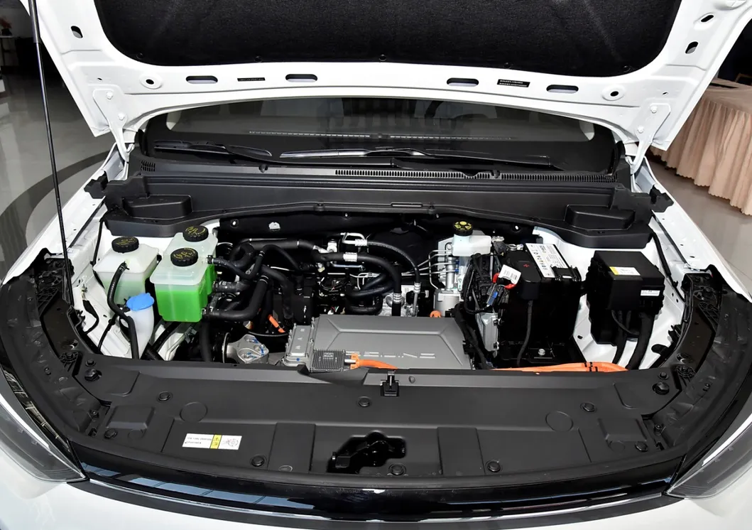 Coche Eléctrico Puro Adecuado para Taxi Precio Barato EU5 Plus Coche