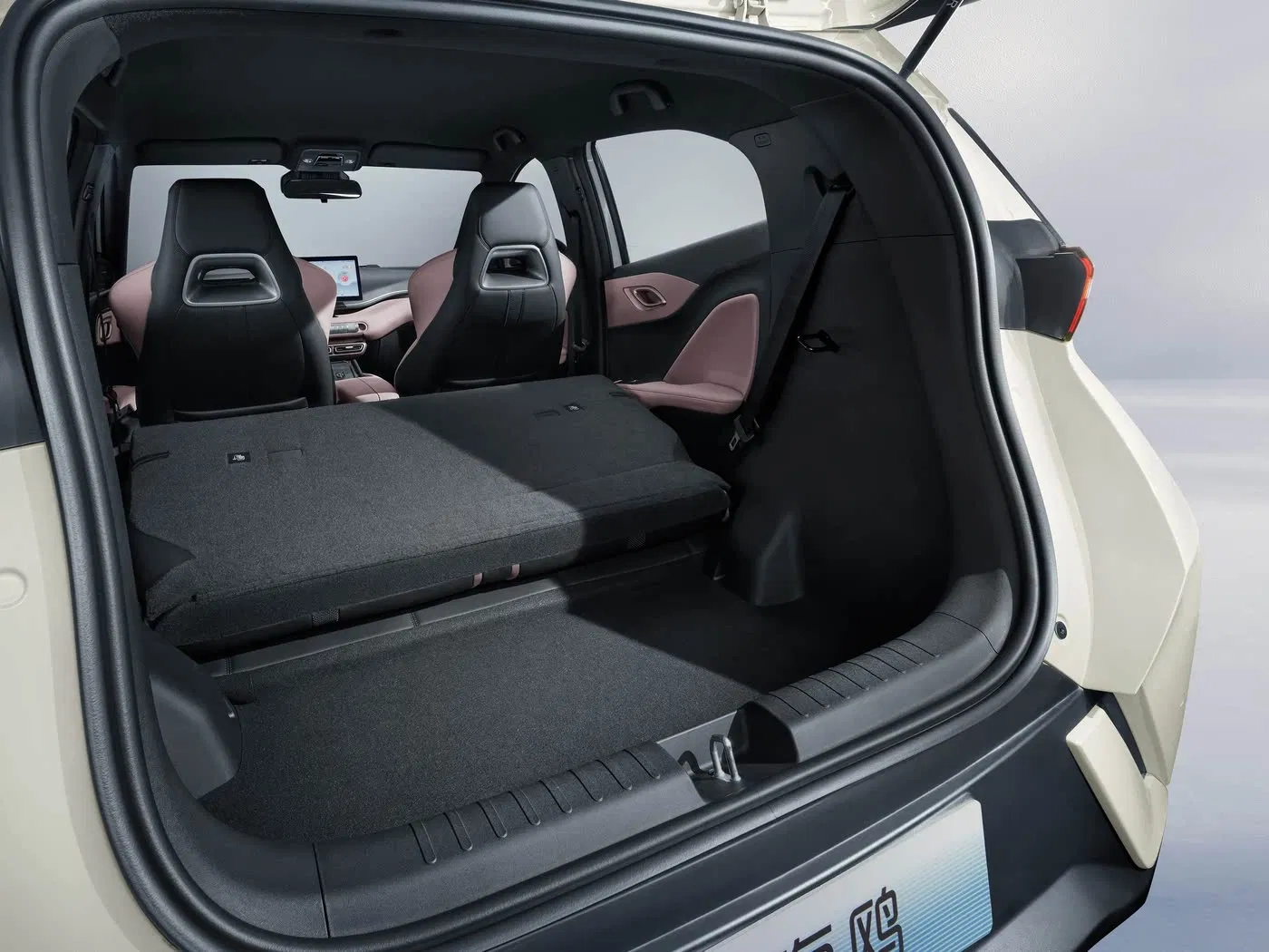 Byd Seagull