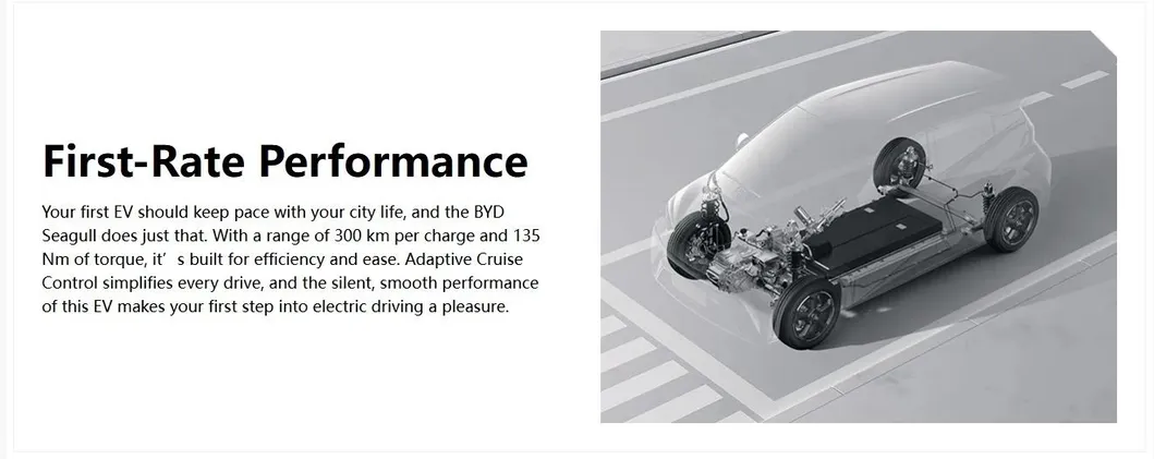 BYD SEAGULL