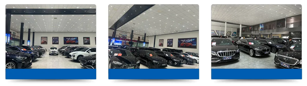 2023 Mercedes Benz EQS 450+ Edición de Lujo Coche Eléctrico Personalizado en Stock