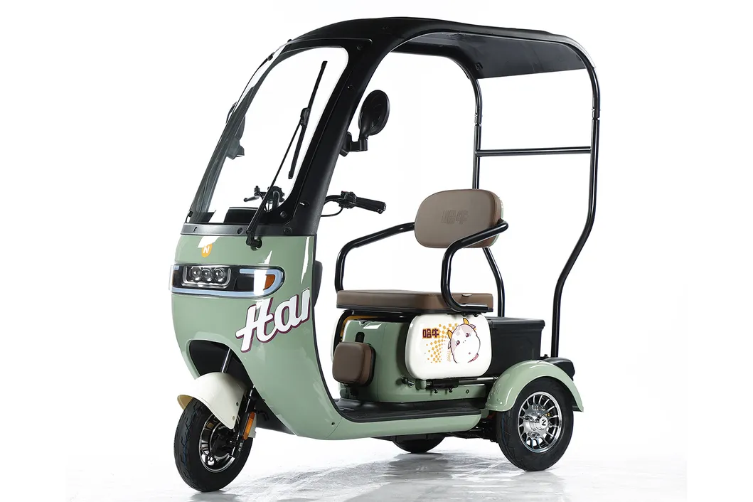 Scooter de movilidad vehículo eléctrico con prueba de e-triciclo 3 bicicleta