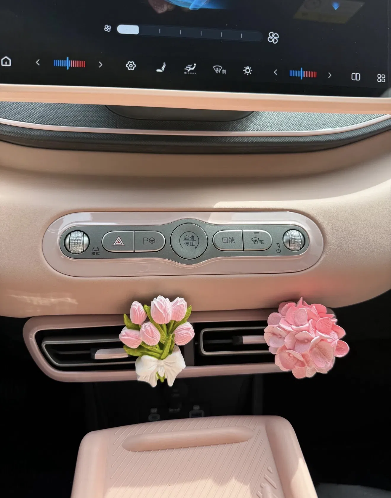 Coche Mini Byd Seagull, Conducción Autónoma, Vehículo de Nueva Energía, Coche Rosa, Decoraciones Personalizadas para Coche