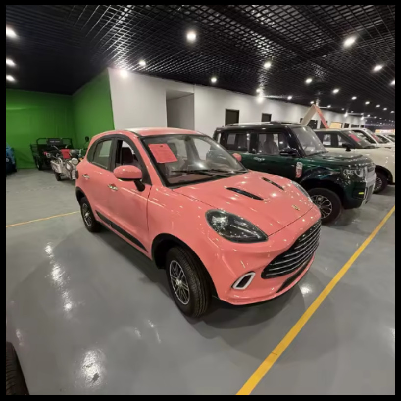 2026 Nuevo Coche Eléctrico de Baja Velocidad Estilo Por Sche Rosa 4 Puertas 4 Asientos Mini EV Vehículo Commuter para Adultos de Hogar Batería de Litio Opcional Aire Acondicionado