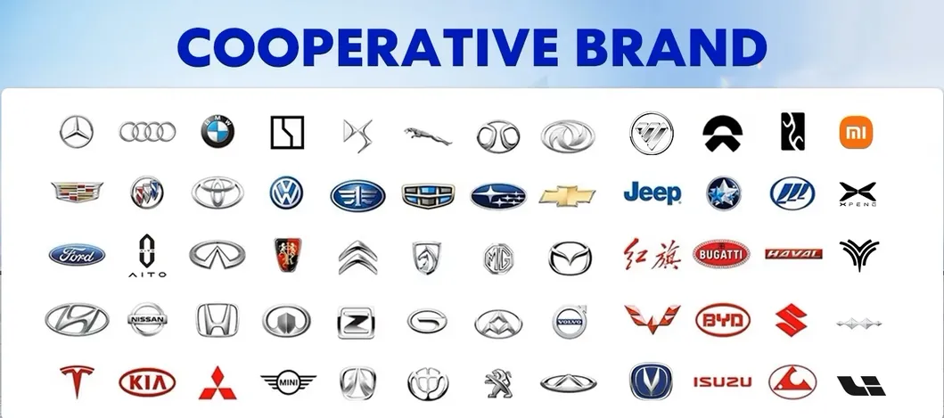 Marcas opcionales